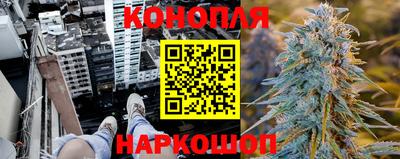крисы Малгобек