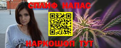 крисы Малгобек