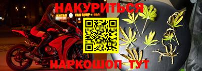 крисы Малгобек