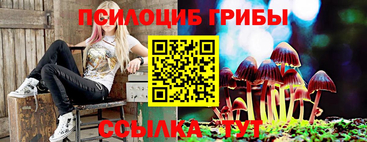 Галлюциногенные грибы прущие грибы  Вход с VPN  Трёхгорный 